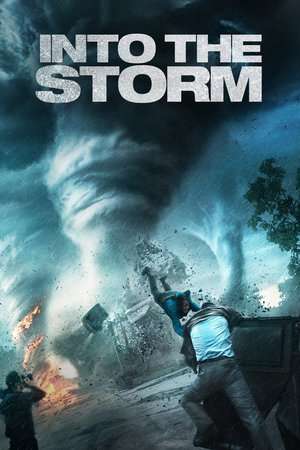 Poster Into the Storm (2014) jf