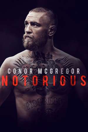 Conor McGregor Notorious 2017 Poster