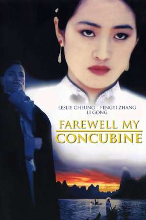 Farewell My Concubine (1993) jf