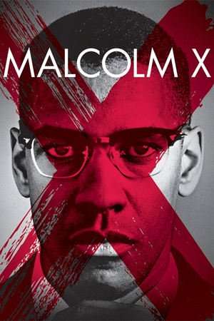 Poster Malcolm X (1992)