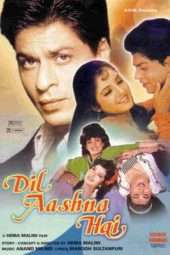 Nonton Film Dil Aashna Hai (1992) Sub Indo