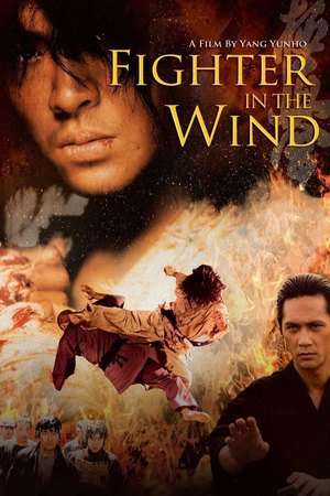 Poster Fighter In The Wind (2004)