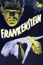 Nonton Film Frankenstein (1931) Sub Indo