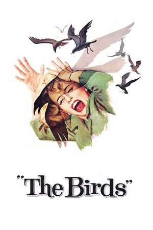 The Birds 1963 Poster