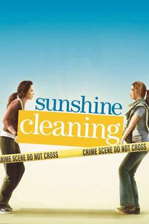 Poster Sunshine Cleaning (2008)