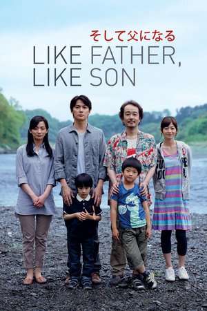 Poster Like Father, Like Son (2013) jf