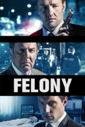 Nonton Film Felony (2013) Sub Indo