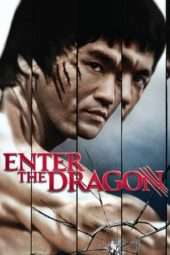 Nonton Film Enter the Dragon (1973) Sub Indo