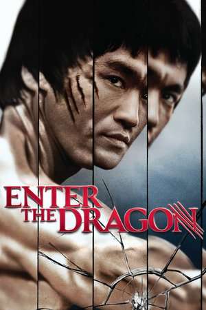 Poster Enter the Dragon (1973) jf