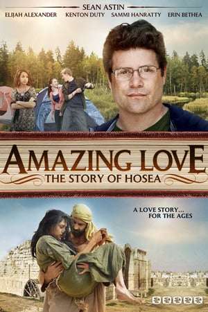 Poster Amazing Love (2012)