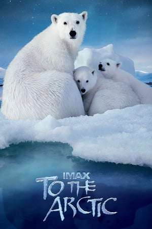 To the Arctic 2012 Poster