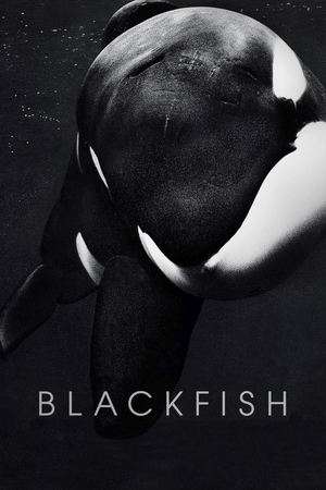 Poster Nonton Blackfish (2013) Sub Indo jf