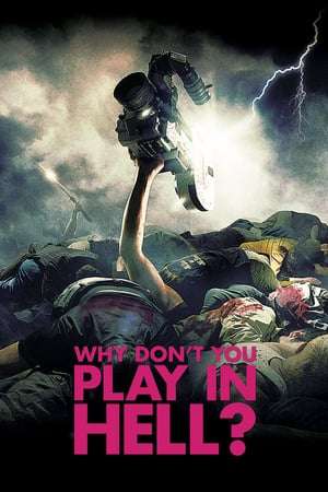 Poster Why Don’t You Play in Hell? (2013)