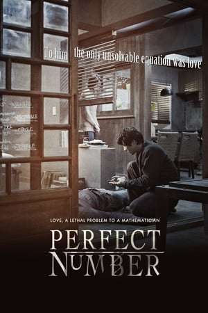 Poster Perfect Number (2012)