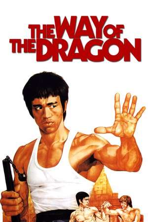 Poster The Way of the Dragon (1972)