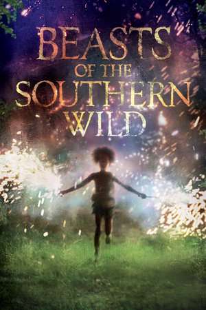 Poster Beasts of the Southern Wild (2012) jf