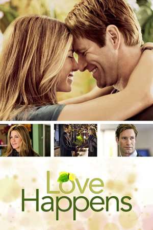 Poster Love Happens (2009)