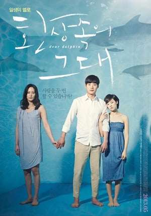 Poster Dear Dolphin (2013)