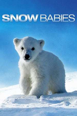 Snow Babies 2012 Poster