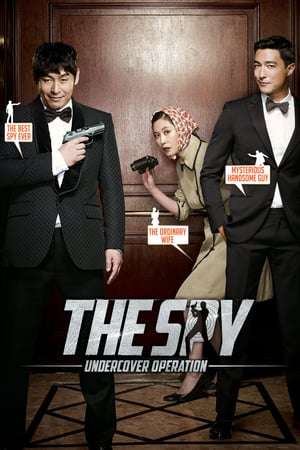 Poster The Spy: Undercover Operation (2013) jf