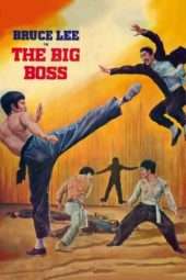 Nonton Film The Big Boss (1971) Sub Indo