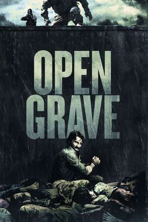 Poster Open Grave (2013)