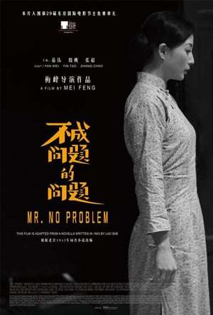 Mr. No Problem (2016)