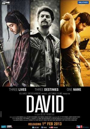 Poster David (2013)