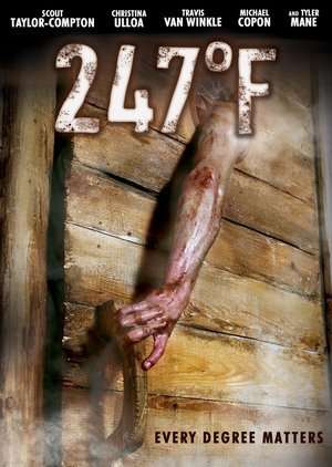 Poster 247Â°F (2011)