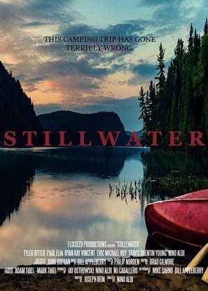 Poster Stillwater (2018) jf