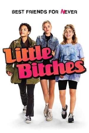 Poster Little Bitches (2018)