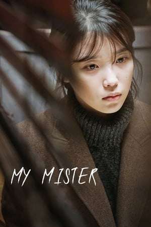 Nonton My Mister (2018) Sub Indo