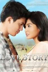 Love Story (2011)