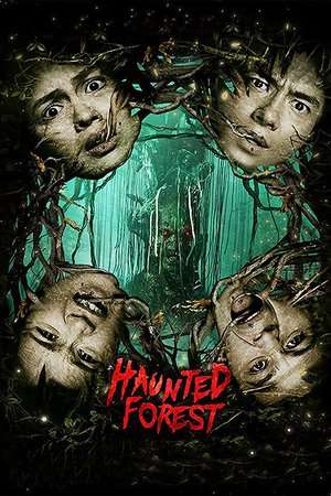 Poster Haunted Forest (2017) gt