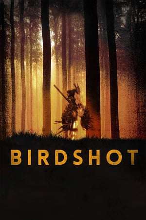 Poster Birdshot (2016)