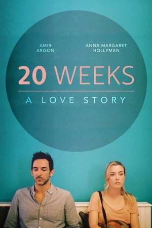 Poster 20 Weeks (2017)