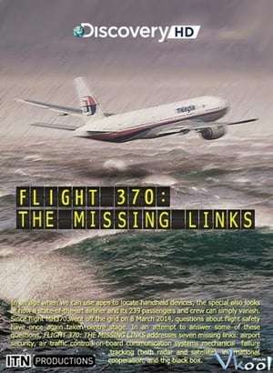 Poster Flight 370: The Missing Links (2014)