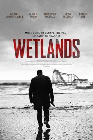 Poster Wetlands (2017) gt