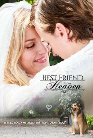 Poster Best Friend from Heaven (2018)