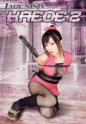 Lady Ninja Kaede 2 2009 Poster