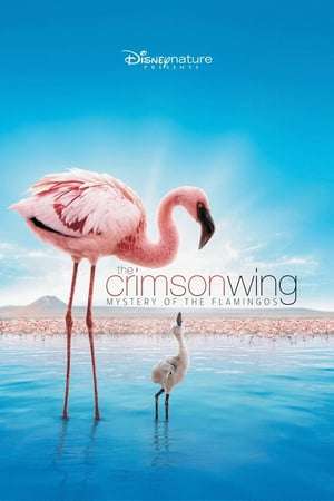 Nonton The Crimson Wing: Mystery of the Flamingos (2008) Sub Indo jf