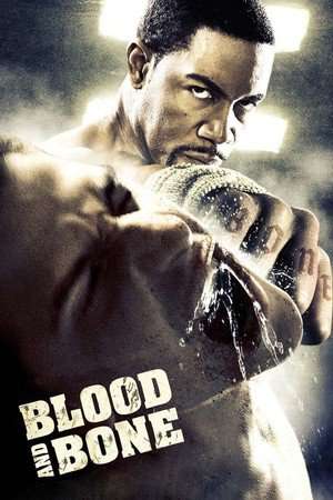 Poster Blood and Bone (2009)