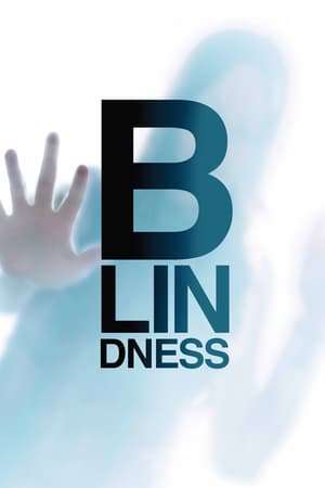 Poster Blindness (2008)