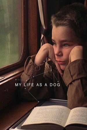 Poster My Life as a Dog (Mitt liv som hund) (1985)