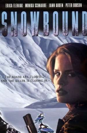 Snowbound 2001 Poster