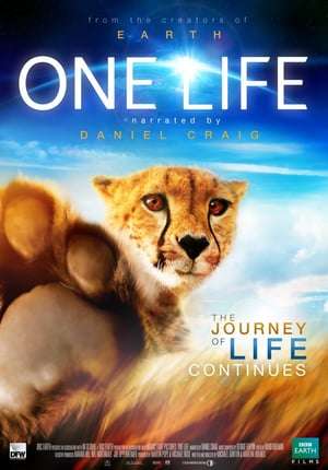 One Life 2011 Poster