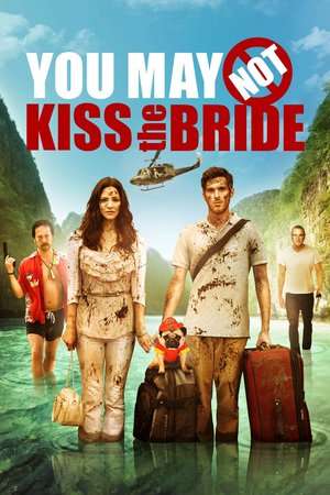 Poster You May Not Kiss the Bride (2011) jf