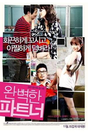 My Secret Partner (2011)