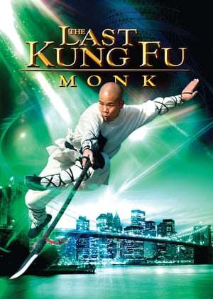 The Last Kung Fu Monk (2010) jf