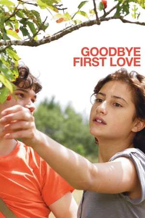 Poster Goodbye First Love (2011)